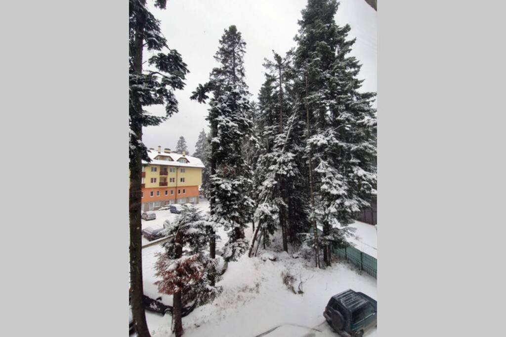 Cozy One Bedroom Apartment In Iglika Complex Borovets Eksteriør bilde